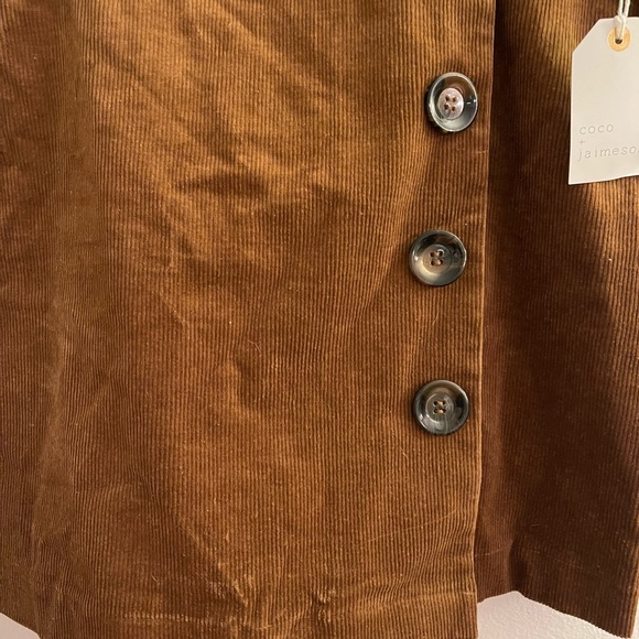 Franscesca’s Brown Skirt! NWT! Large! - Picture 4 of 5